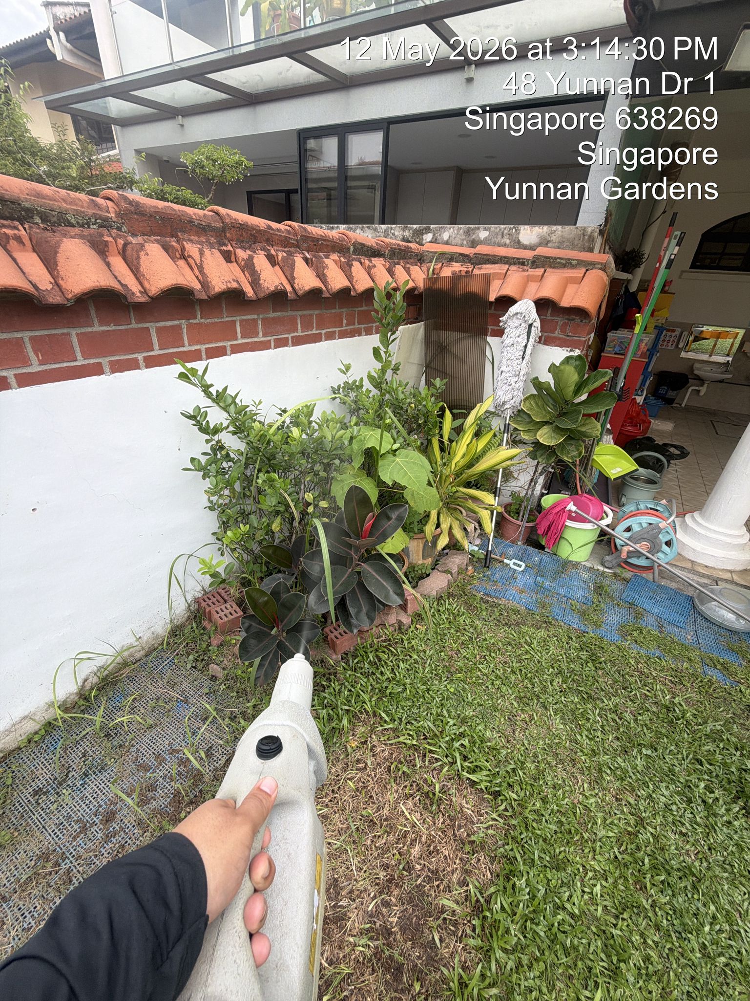 Plant area treatment