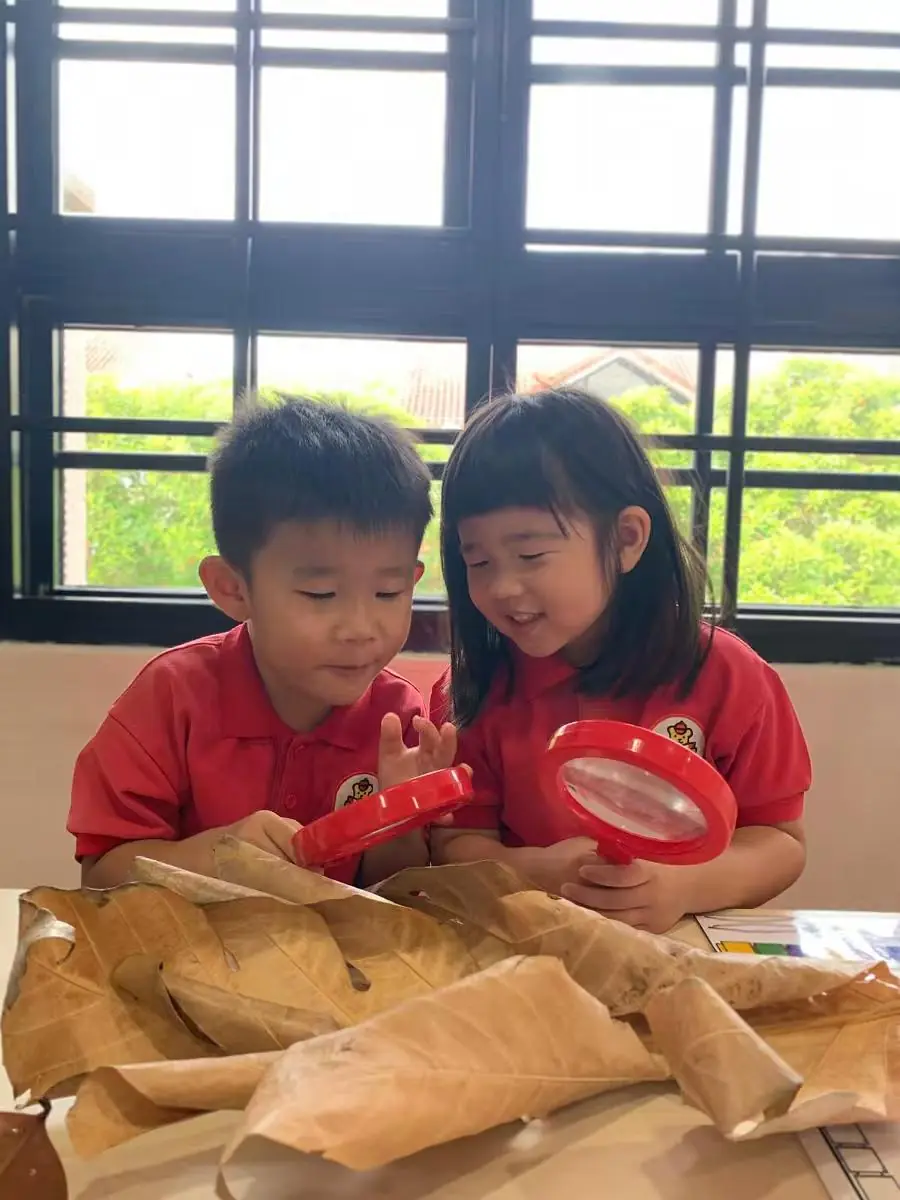 Nature and Music Exploration Open House event at MapleBear Jurong West bilingual preschool