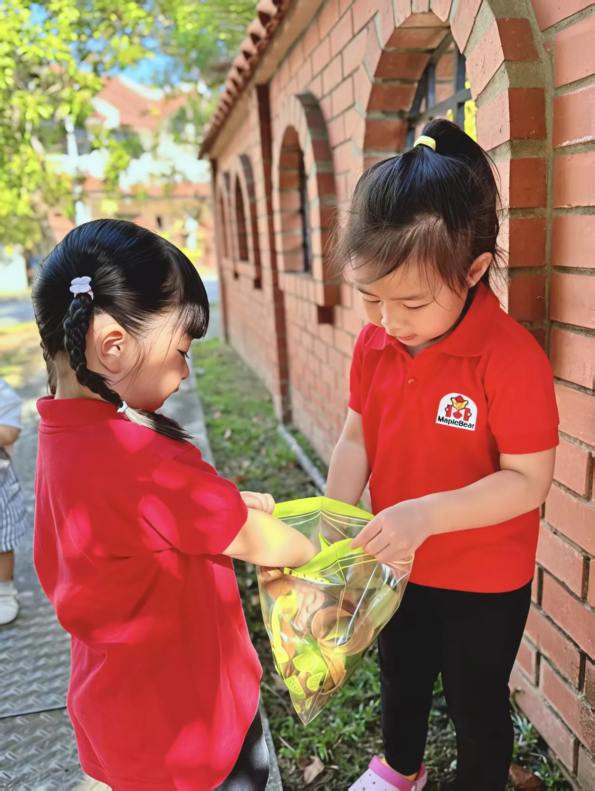 Children using magnifying glasses to explore leaves in a science discovery activity at MapleBear Jurong West preschool