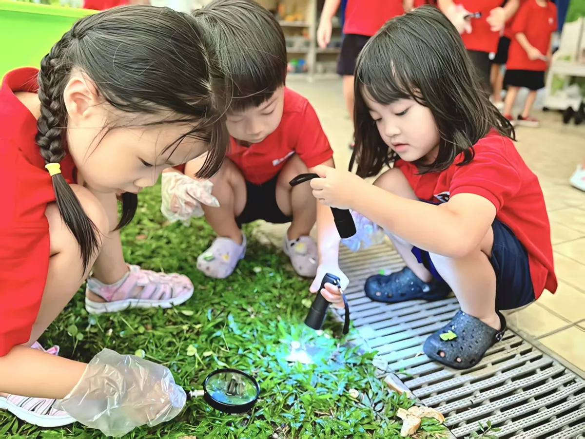 Two children collecting leaves for a science discovery project at MapleBear Jurong West preschool near NTU